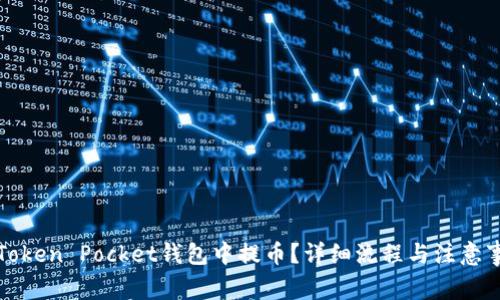 如何在Token Pocket钱包中提币？详细流程与注意事项解析