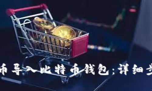 如何将货币导入比特币钱包：详细步骤与指南