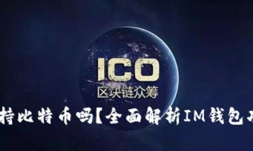 IM钱包支持比特币吗？全面解析IM钱包功能与使用