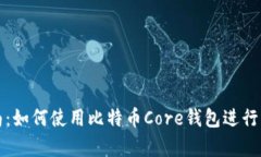 初学者指南：如何使用比