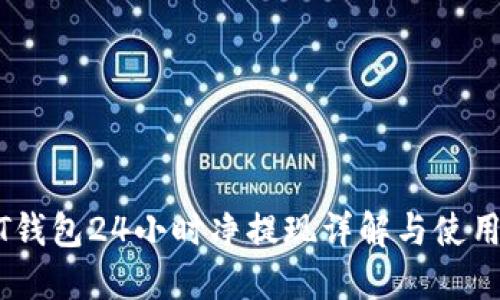 USDT钱包24小时净提现详解与使用指南
