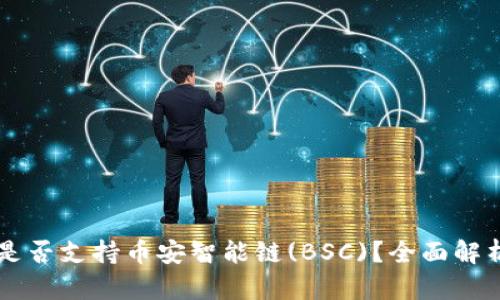 以太坊钱包是否支持币安智能链(BSC)？全面解析与使用指南