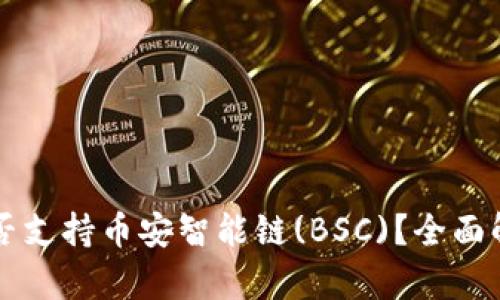 以太坊钱包是否支持币安智能链(BSC)？全面解析与使用指南