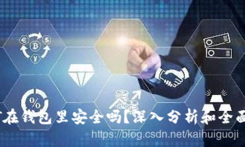 USDT在钱包里安全吗？深入分析和全面指南