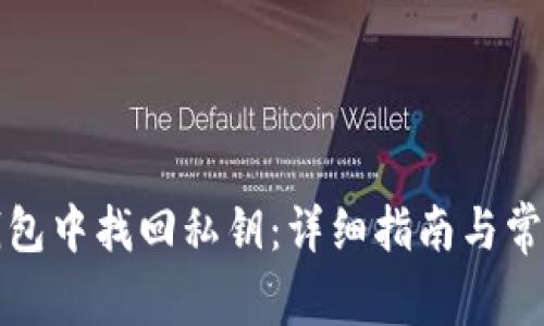 如何在TP钱包中找回私钥：详细指南与常见问题解答