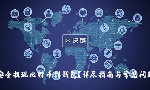 如何安全提现比特币到钱包？详尽指南与常见问题解答