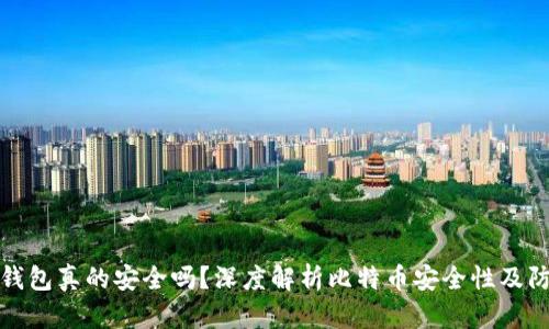 比特币钱包真的安全吗？深度解析比特币安全性及防护措施