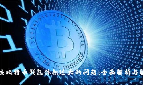 如何解决比特币钱包体积过大的问题：全面解析与解决方案