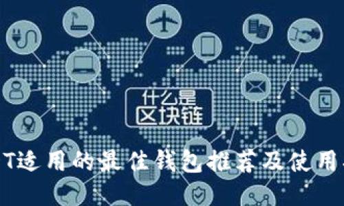 USDT适用的最佳钱包推荐及使用指南