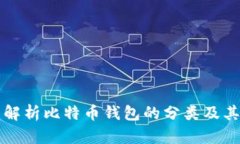 全面解析比特币钱包的分