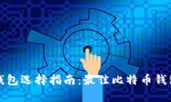 比特币存储钱包选择指南
