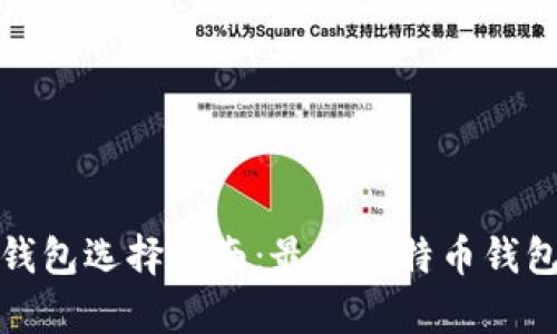 比特币存储钱包选择指南：最佳比特币钱包推荐与评测