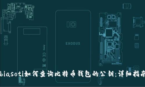 biasoti如何查询比特币钱包的公钥：详细指南