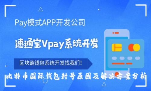 比特币国际钱包封号原因及解决方案分析