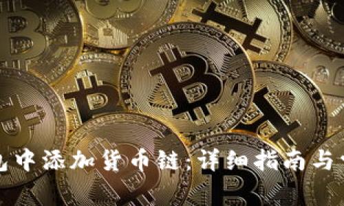 如何在TP钱包中添加货币链：详细指南与常见问题解答
