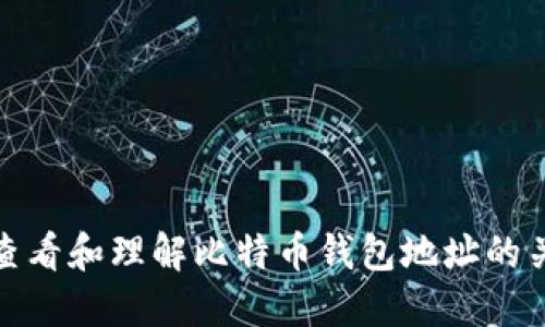 : 如何查看和理解比特币钱包地址的关键要素
