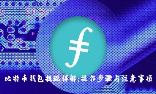 比特币钱包提现详解：操作步骤与注意事项