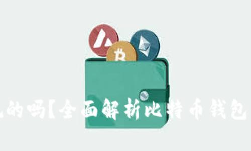 比特币钱包是正规的吗？全面解析比特币钱包的合法性与安全性