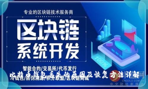 比特币钱包丢失的原因及恢复方法详解
