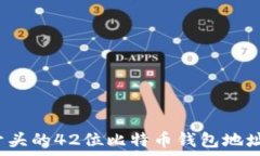   全面解析：0x开头的42位比特币钱包地址及其应