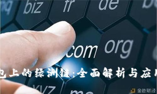 TP钱包上的绿洲链：全面解析与应用展望