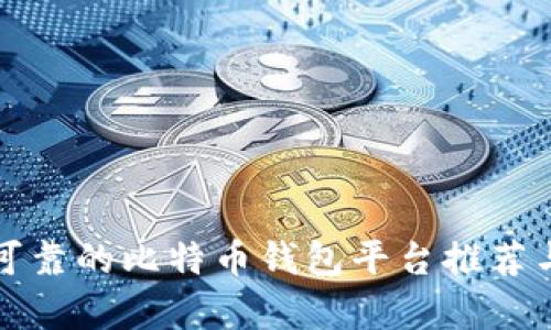安全可靠的比特币钱包平台推荐与分析