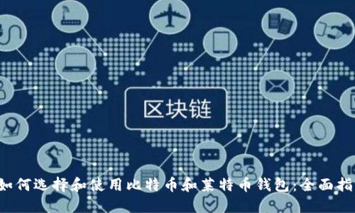  如何选择和使用比特币和莱特币钱包：全面指南
