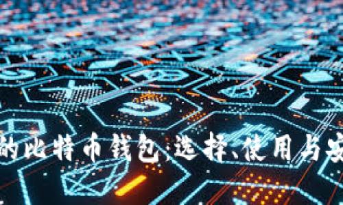 最专业的比特币钱包：选择、使用与安全指南