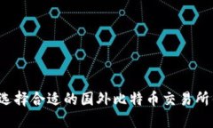 如何选择合适的国外比特