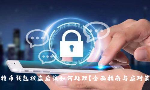 比特币钱包被盗后该如何处理？全面指南与应对策略
