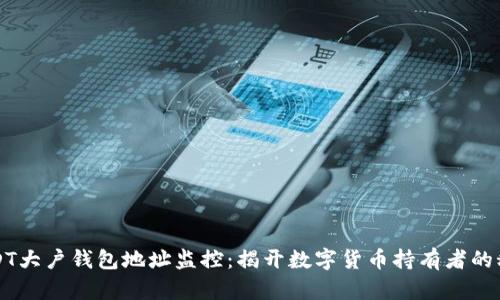 USDT大户钱包地址监控：揭开数字货币持有者的秘密
