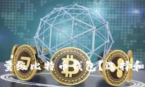 什么是轻量级比特币钱包？选择和使用指南