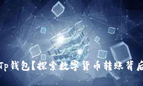 谁会把狗狗币转到Tp钱包？探索数字货币转账背后的动因与用户群体