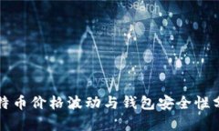 比特币价格波动与钱包安