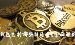 以太坊钱包支持哪些链通道？全面解析与比较