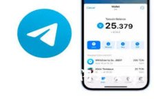 如何取消TP钱包的闪兑交易: 全面指南