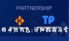 如何获取比特币热钱包：详细指南与常见问题解