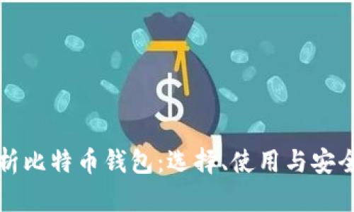 全面解析比特币钱包：选择、使用与安全性指南