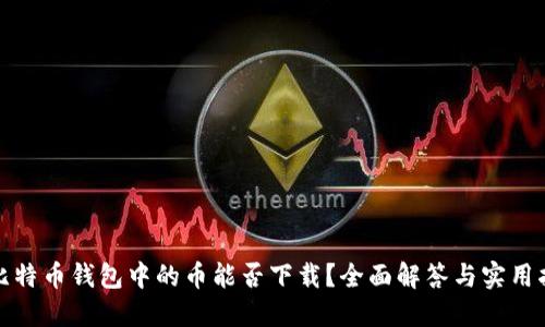 : 比特币钱包中的币能否下载？全面解答与实用指南