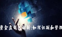 比特币最大资金盘钱包解
