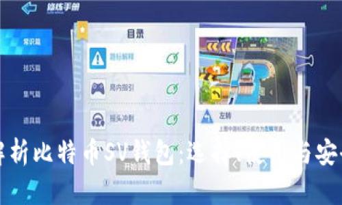 全面解析比特币SV钱包：选择、使用与安全指南