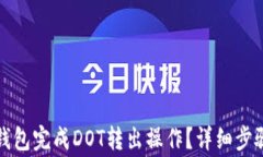 如何使用TP钱包完成DOT转出