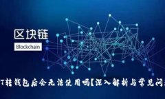 : USDT转钱包后会无法使用