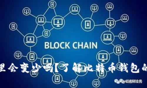 比特币存放在钱包里会变少吗？了解比特币钱包的安全性与增减机制