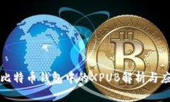 : 比特币钱包中的XPUB解析