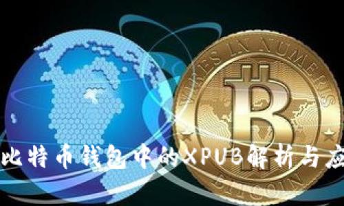 : 比特币钱包中的XPUB解析与应用