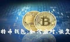 当米丢失比特币钱包：如