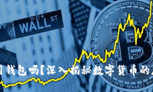比特币可以不用钱包吗？深入揭秘数字货币的存储与使用方式