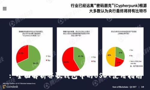 : 全面解析谷歌钱包中的USDT使用指南