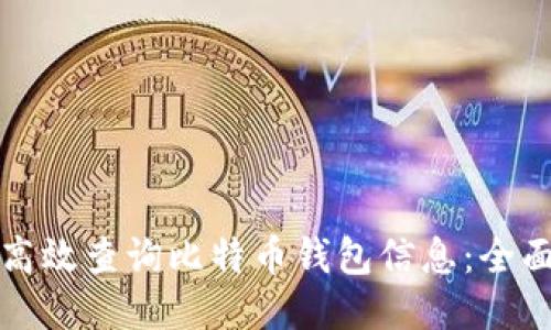如何高效查询比特币钱包信息：全面指南